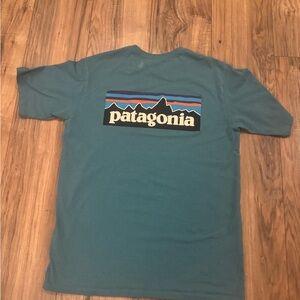 Patagonia Men's Teal Graphic Tee